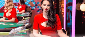 app 333bet